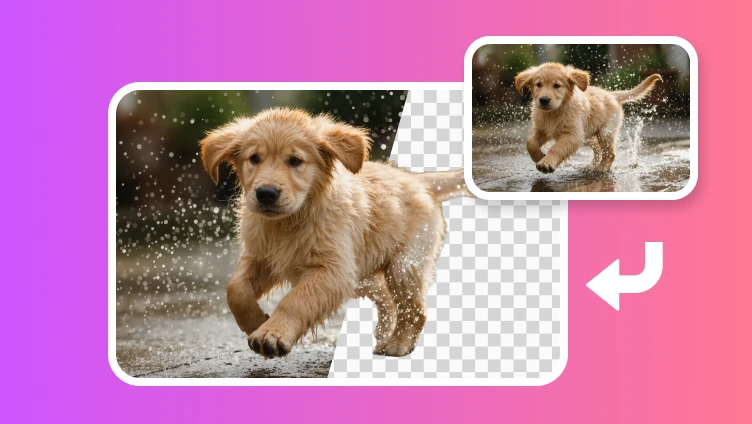 Dog removed from its image background