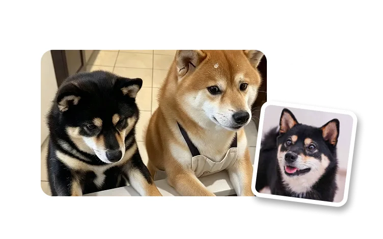 AI Dog Video Generator