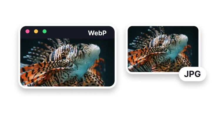 WebP to JPG