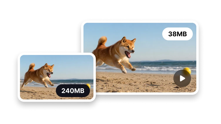 Video Compressor