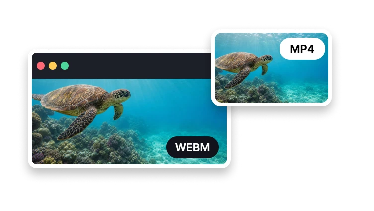 WebM to MP4